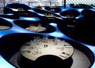 Blue Frog
