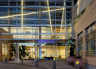 Translational Research Institute for Metabolism and Diabetes (TRI)