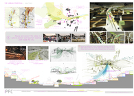 Graduate Thesis