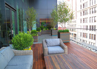 Hensch Residence Deck / Planters / Lattice