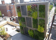 Waverly Street Penthouse