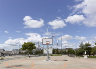 arbre à basket