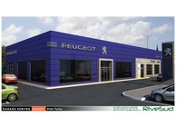 PEUJEOT- CITROEN