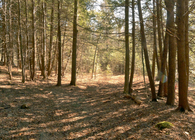 Stream House