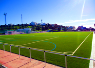 Reform of Public Sports Stadium