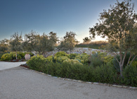 Garden and Landscape Architecture Photography