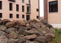 100 public housing units