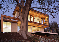 tree house