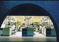 Novartis Institutes for BioMedical Research - Emeryville (formerly Chiron Corporation)