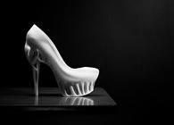 Biomimicry Shoe