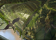 Living Architecture