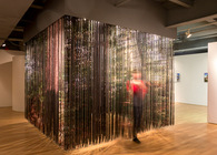 Lenticular Curtain | BREATHTAKING: Constructed Landscapes