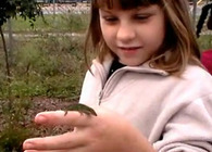 Learning + Landscape: Woodville Elementary School Wildflower Garden