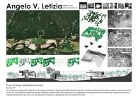 Forest Ecology: Inhabiting the Woods