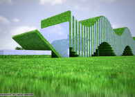 Grass field and the Skies