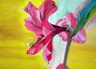 Dripping Flower