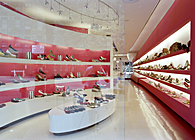 Steve Madden Store #50