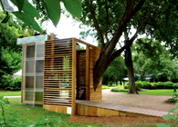 Underground Tree House