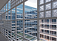 Centre for Dental Studies - Jamia Milia Islamia University