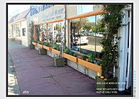 Dove and Olive Works