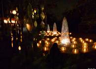 Shining Tree in a sacred place