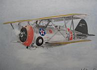 Grumman in flight