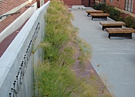 Woodbury University - Raymond Enkenboll Courtyard