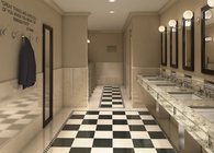 Athletic Club Bathroom 