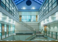 USF Tampa, Communication Information Sciences 