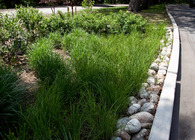 Asst Landscape Architect NYCDPR