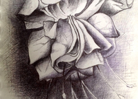SHL Artwork