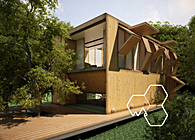 Forest House