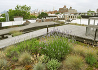 Park Slope Residence
