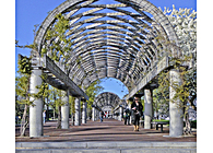 CLASSIC ARCHITECTURAL PHOTOGRAPHY (Spring 2011)