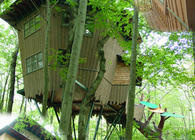 Treehouse Cottage
