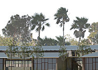 City Hall - Del Mar
