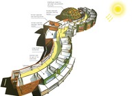 school of natural resources & agricultural scinces