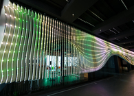 Dynamic Performance of Nature