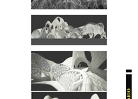 Competition Portfolio