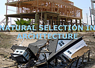 Form Studies - Housing Studio