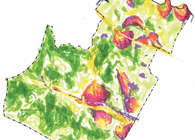 Tea Leaf Master Plan
