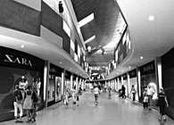 Zona Campus