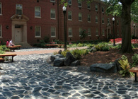 Artists' Backyard