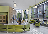 Senior Designer/ Director