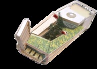 Lil Tokyo TOD 2011