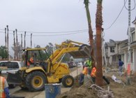 Landscape Management
