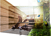 Urban Rainforest