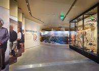 Museum Exhibit