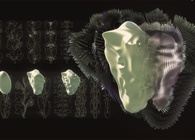 The Morphing Egg 2012