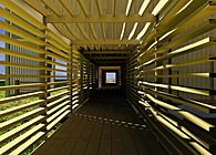 Detailed Experience: Winery